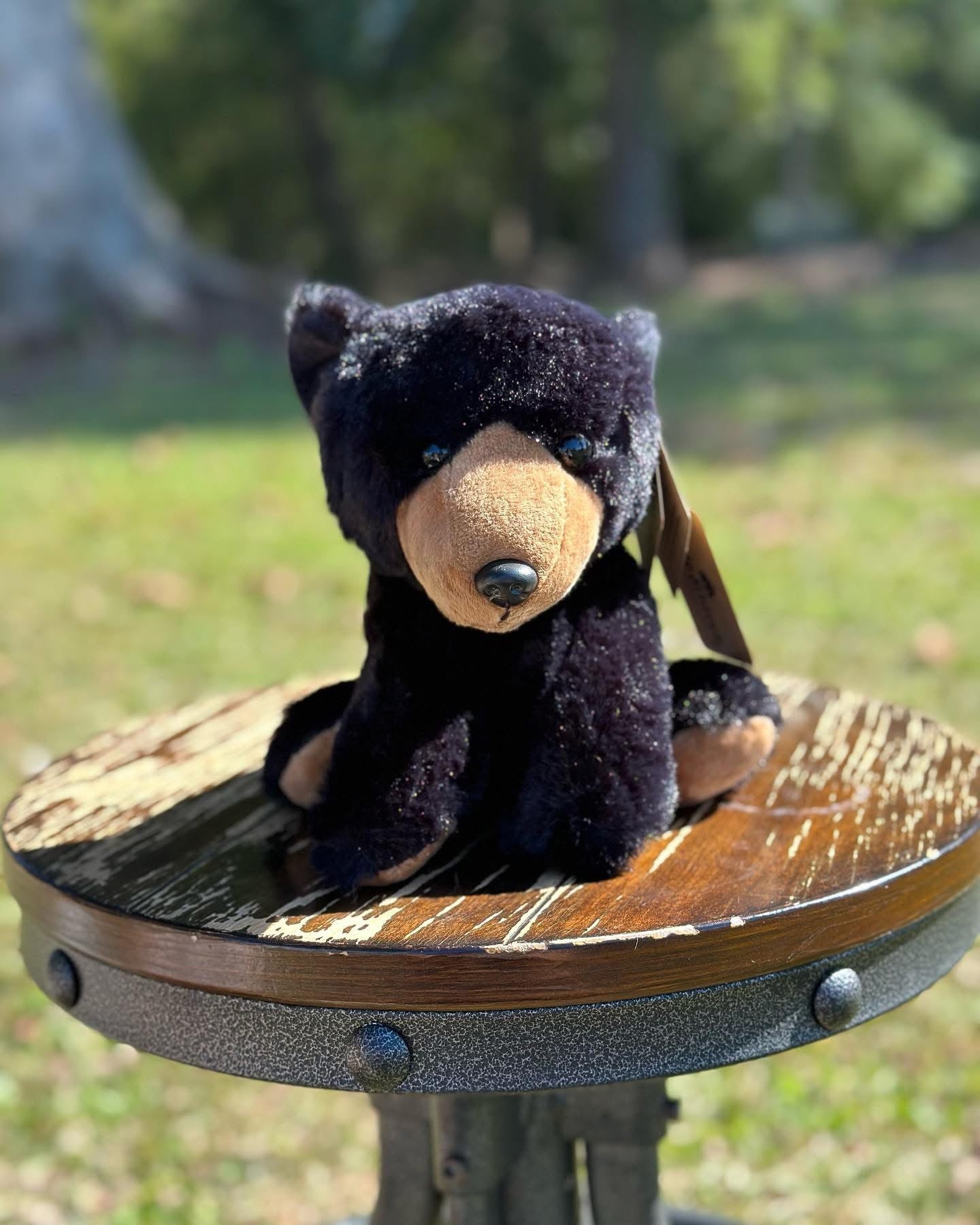 Wild Onez Black Bear 6”