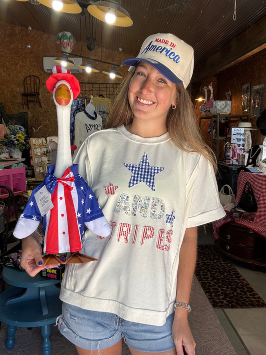Stars & Stripes Top