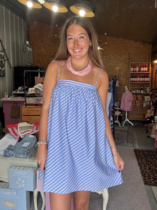 Skyline Stripe Mini Dress